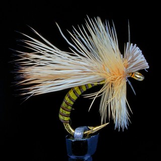 Elk Hair Caddis Variation Emergent
