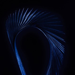 Stripped Goose Biots Black