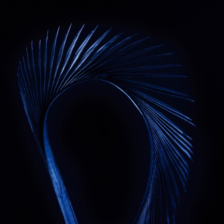 Stripped Goose Biots Black