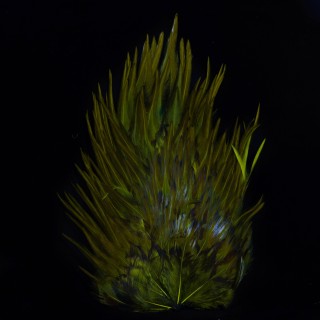 INDIA ROOSTER SADDLE PATCH OLIVE