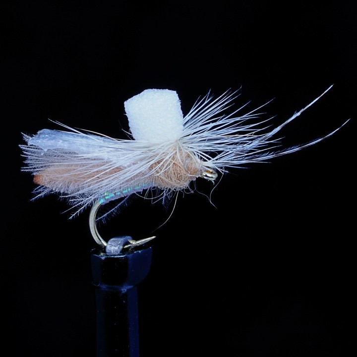 Headlight Caddis