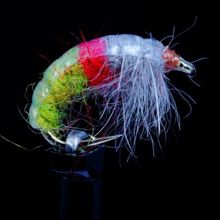 Hotspot Czech Nymph Tan Orange