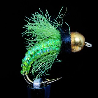 Iko Caddis Pupa green