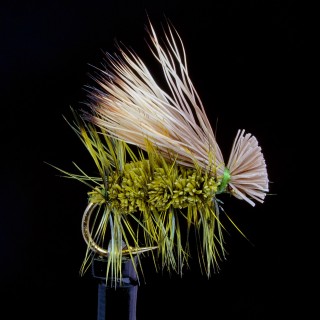 Irresistible Caddis Oliva