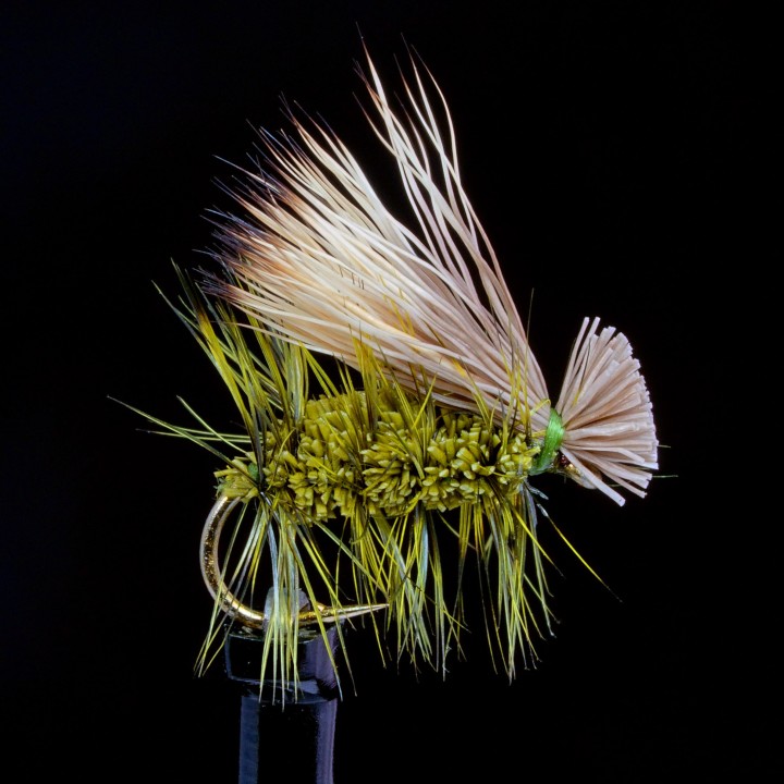 Irresistible Caddis Oliva