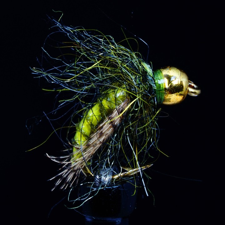 Read Caddis Pupa