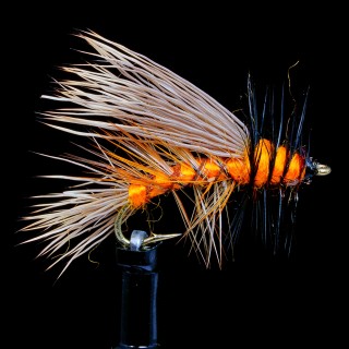 Stimulator Orange Hackle Black