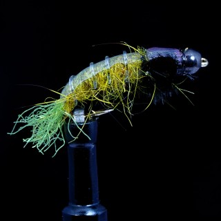 Uncased Caddis Olive