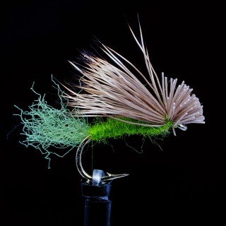 X Caddis Olive