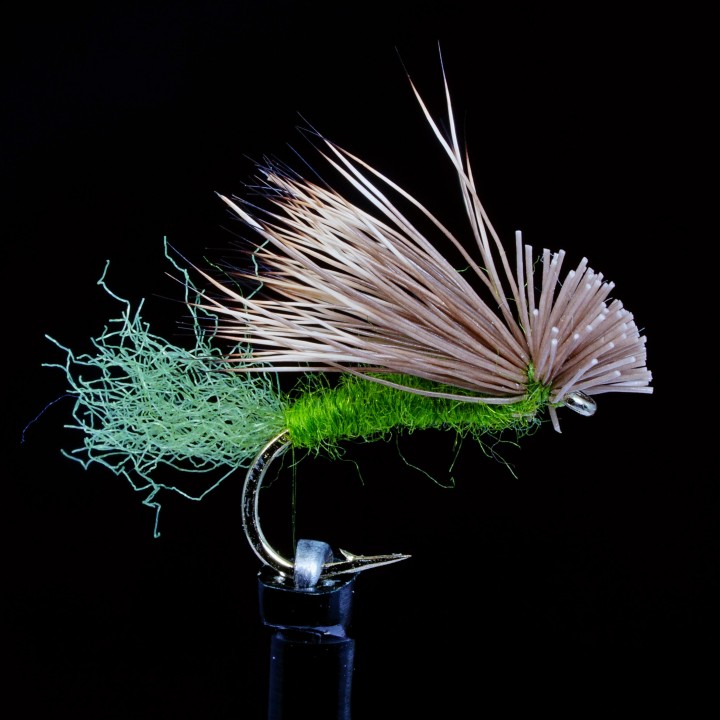 X Caddis Olive