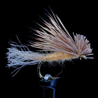 X Caddis Tan