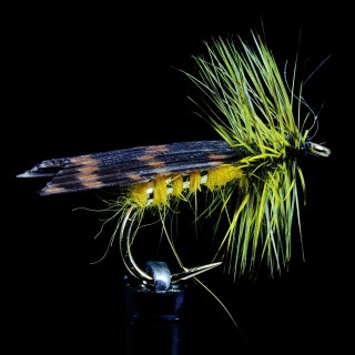Yellow Caddis