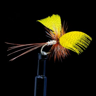 Yellow Drake Mayfly
