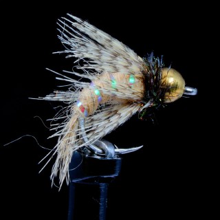 Anderson Bird of Prey tan