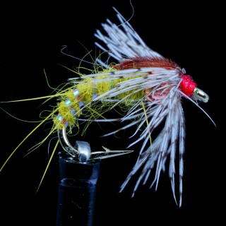 Holy Grail Olive B.H