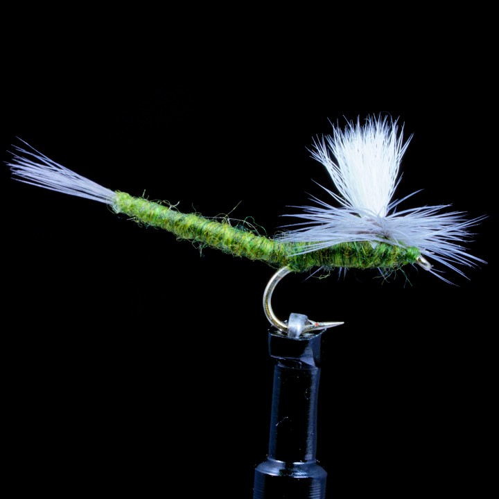 Blue winged Olive Extended Body