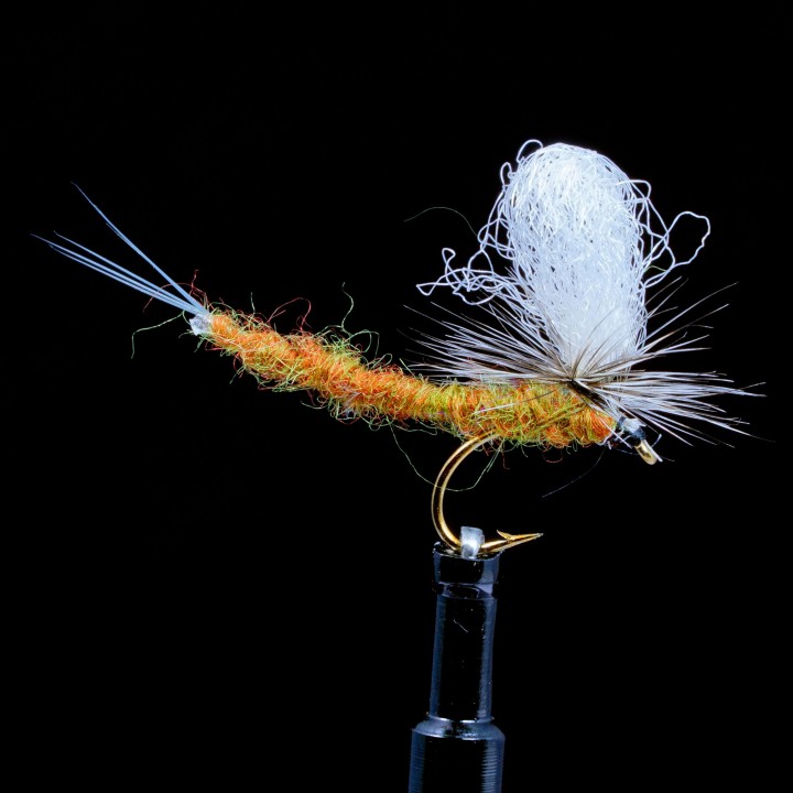 Callibaetis Extended Body