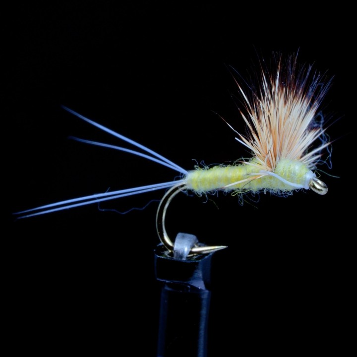 Comparadun Winged Morning