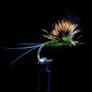 Comparadun Winged Oliva