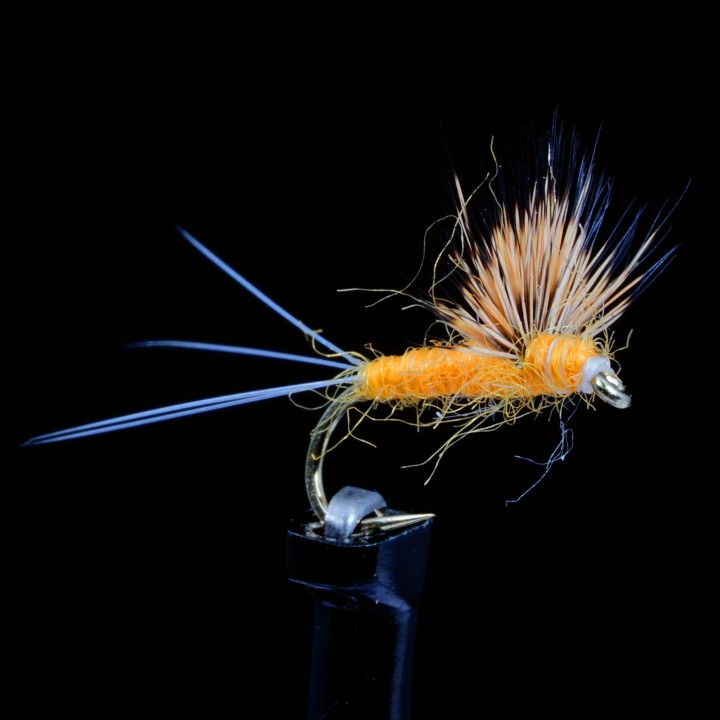 Comparadun Winged Sulphur