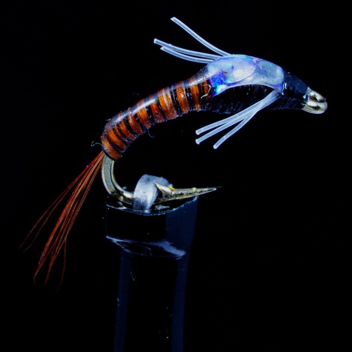 Juju Beatis Flahback