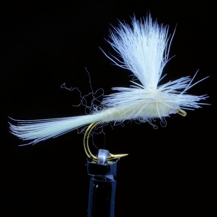 Light Cahill Parachute