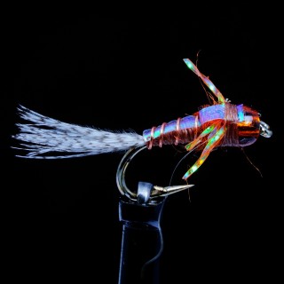 Mayfly hot