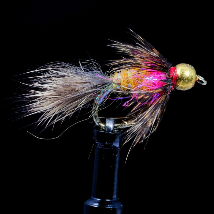 Sizzlin Hot Spot Squirrel