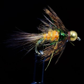 Sizzlin Red Squirrel