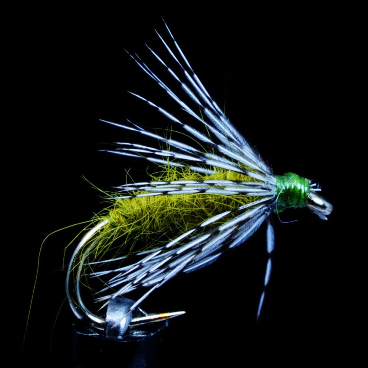 Soft Hackle Olive