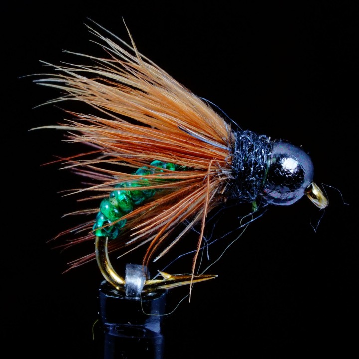 Caddis Pupa