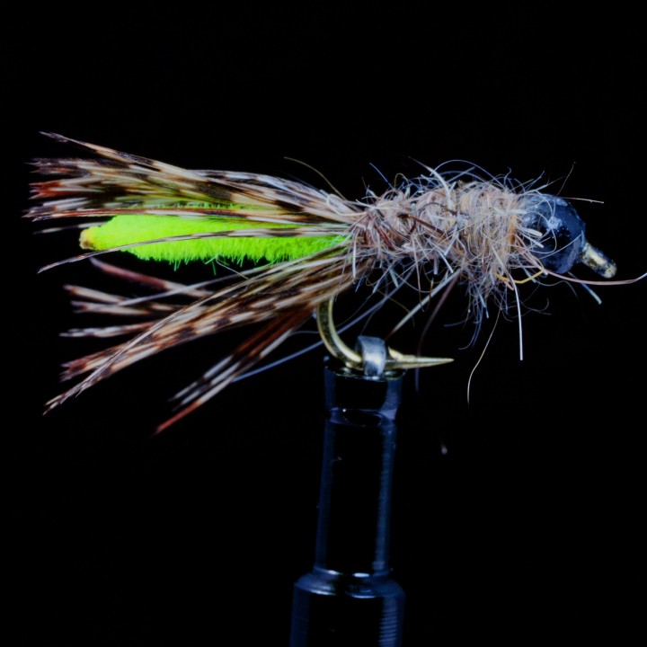 Cassed caddis