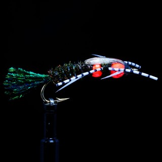 2 B.H Speckled Stone Peacock