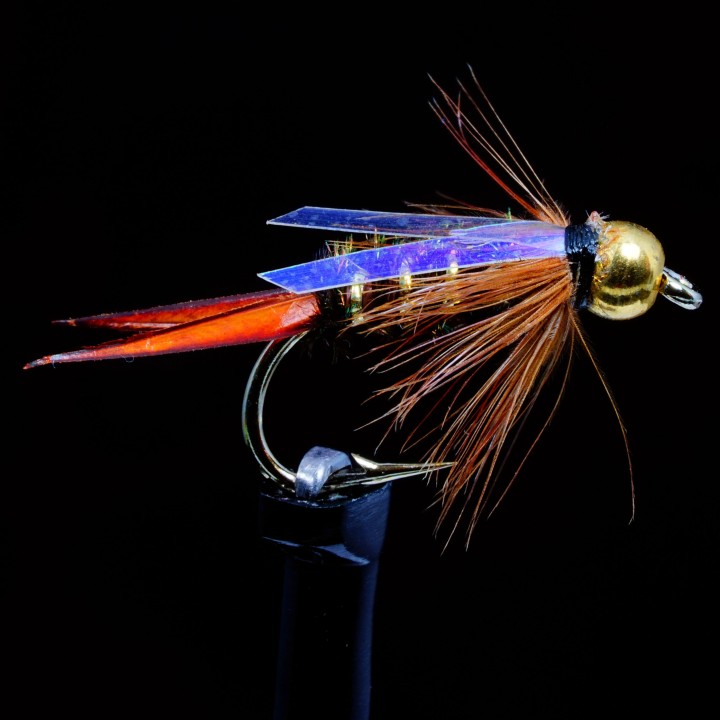 Flashwing Prince B.H