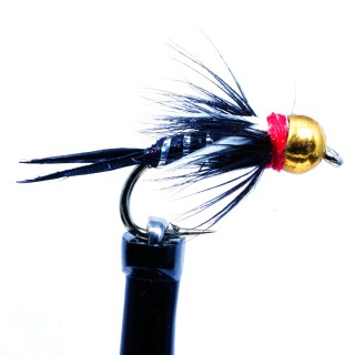 Prince Ice BlacK B.H