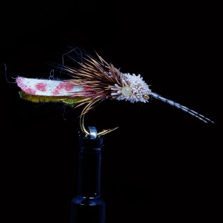 Caddis