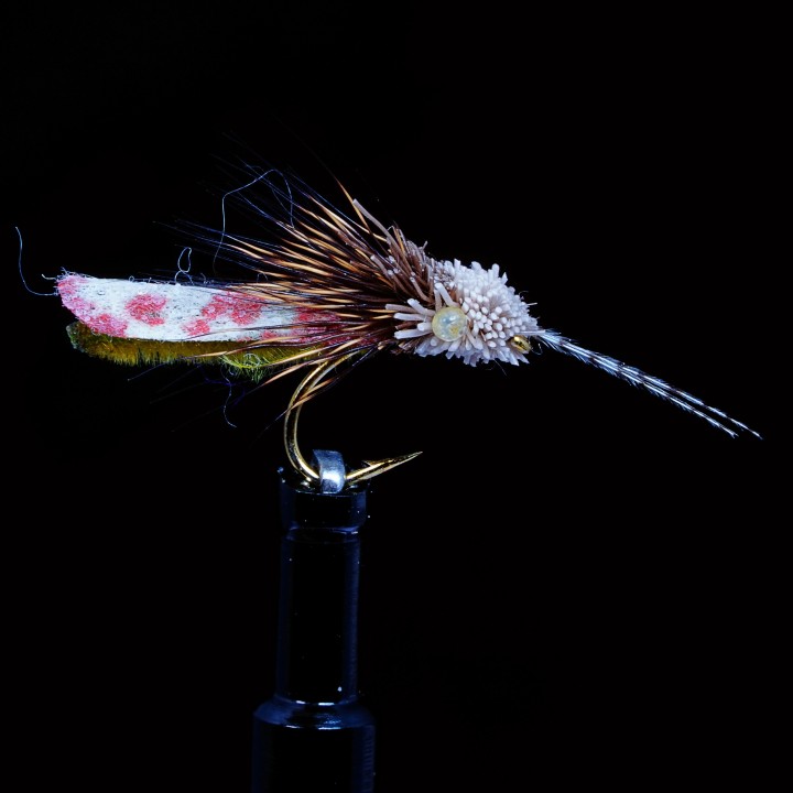 Caddis
