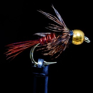 Soft Hackle Pheasant tail B.H