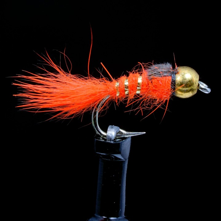 Hares Ear Orange B.H