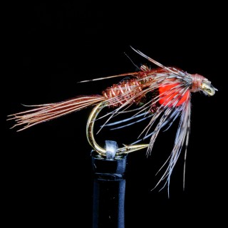 Hot Special Pheasant