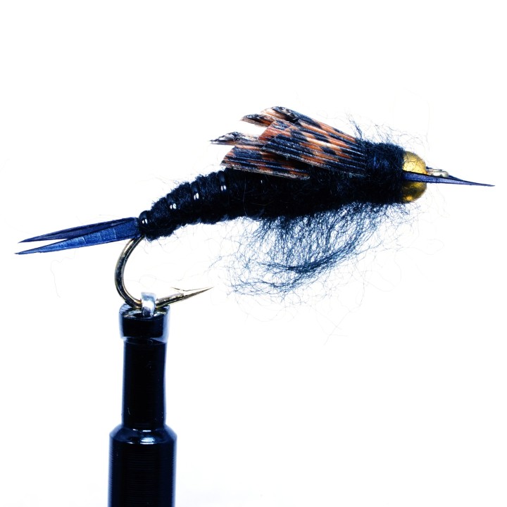 Kaugmann Stone  Black B.H