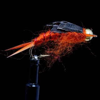 Kaugmann Stone  Brown B.H