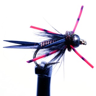 Montana Prince Black