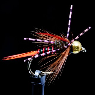 Montana Prince Christmas