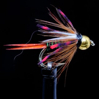 Montana Prince Olive