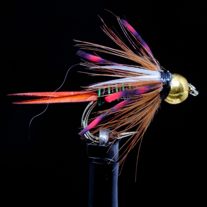 Montana Prince Olive