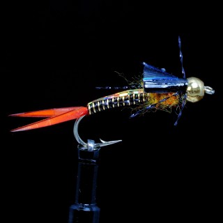 Trina Copper Micro Stone Gold B.H