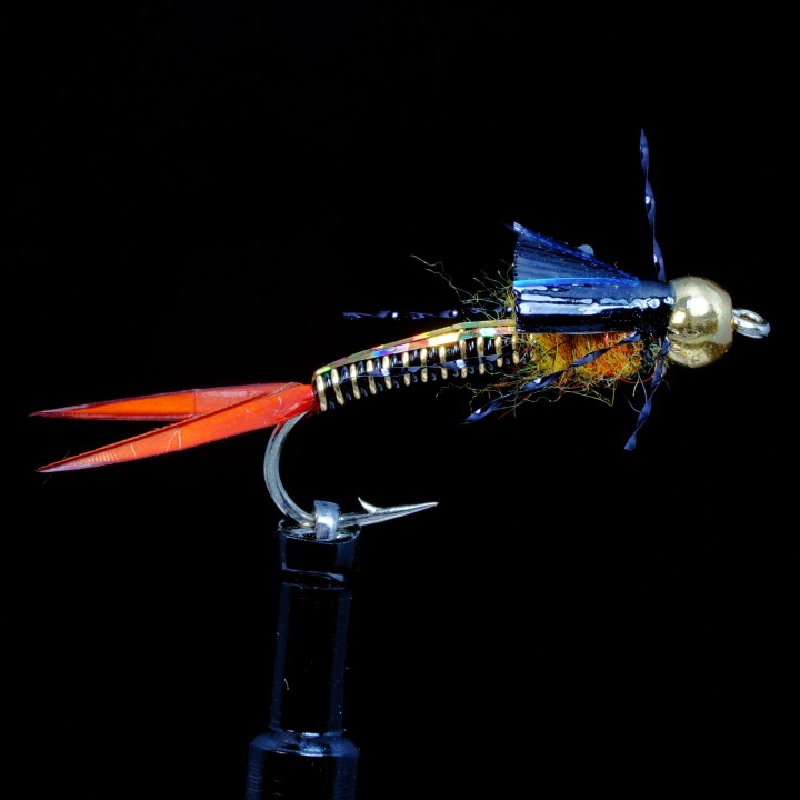 Trina Copper Micro Stone Gold B.H