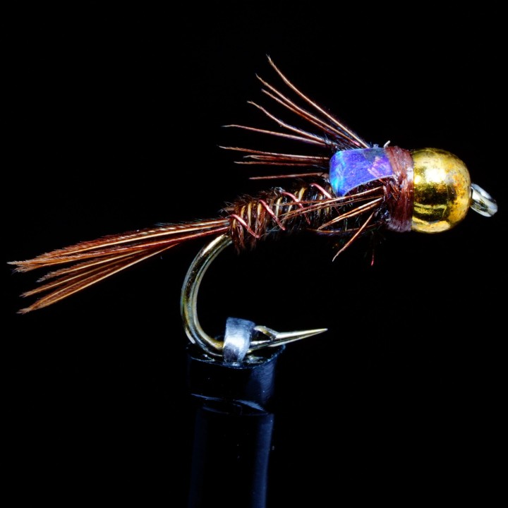 Pheasant tail Flashback