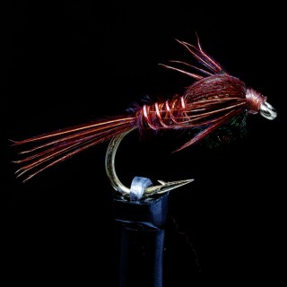 Pheasant Tail Nymph